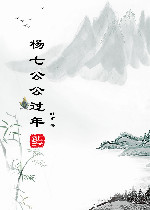 杨七公公过年在线阅读