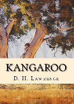 Kangaroo在线阅读
