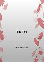 The Fox