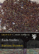 Bush Studies在线阅读