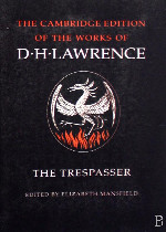 The Trespasser在线阅读